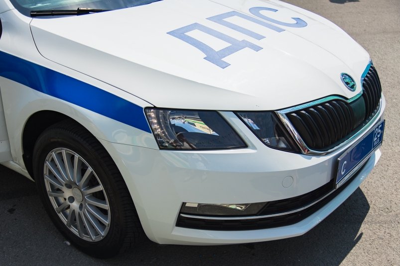 ДПС Илья Аверьянов, ИА PrimaMedia.ru