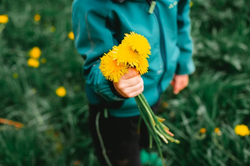 Тематическое фото Unsplash.com