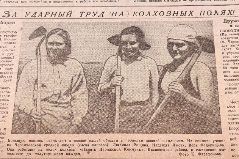 Школьницы на колхозных полях выполняют по 1,5 нормы ежедневно газета "Амурская правда" (16+)