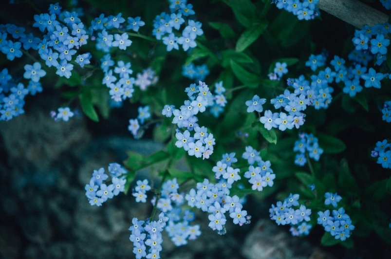 Тематическое фото unsplash.com