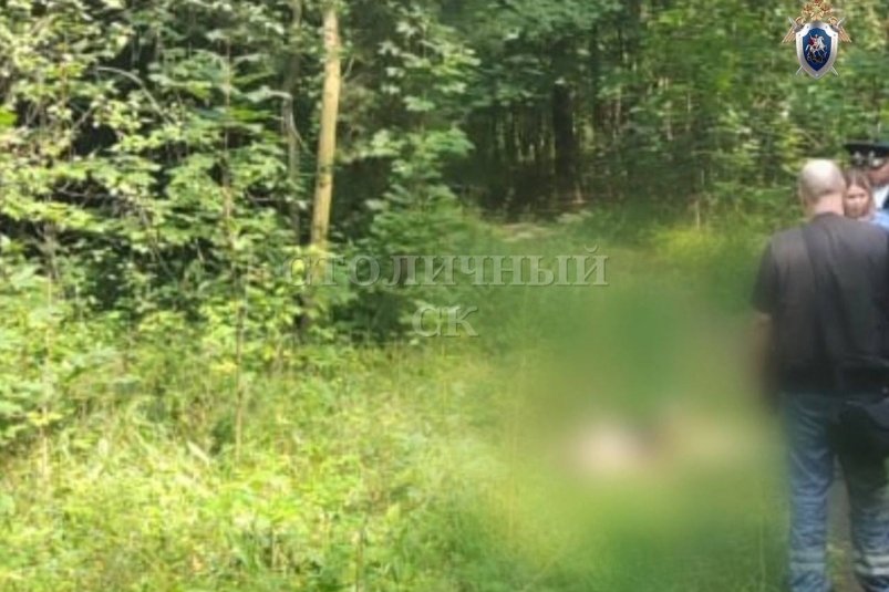 На юго-востоке Москвы найден труп мужчины с ножевыми ранениями Пресс-служба ГСУ СК РФ по Москве