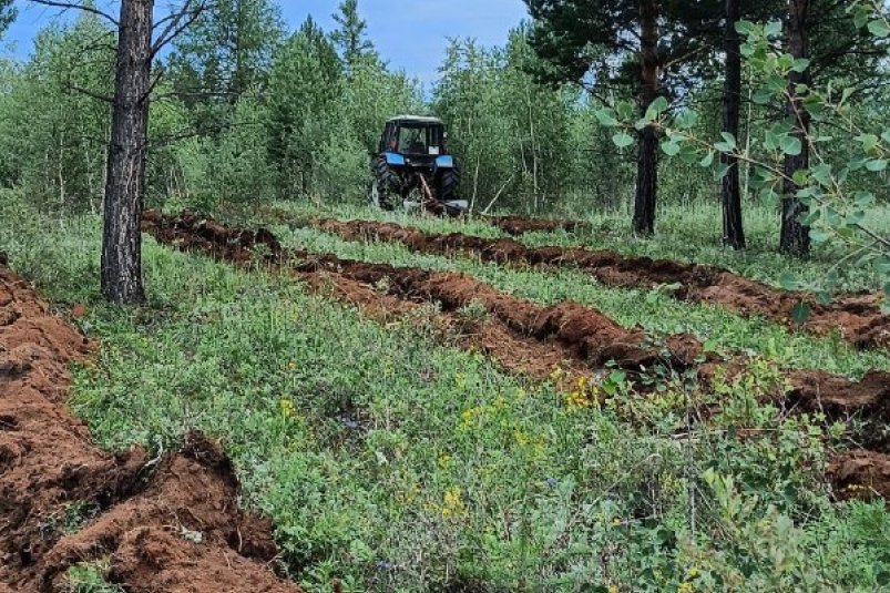 Подготовка почвы Минприроды Забайкалья