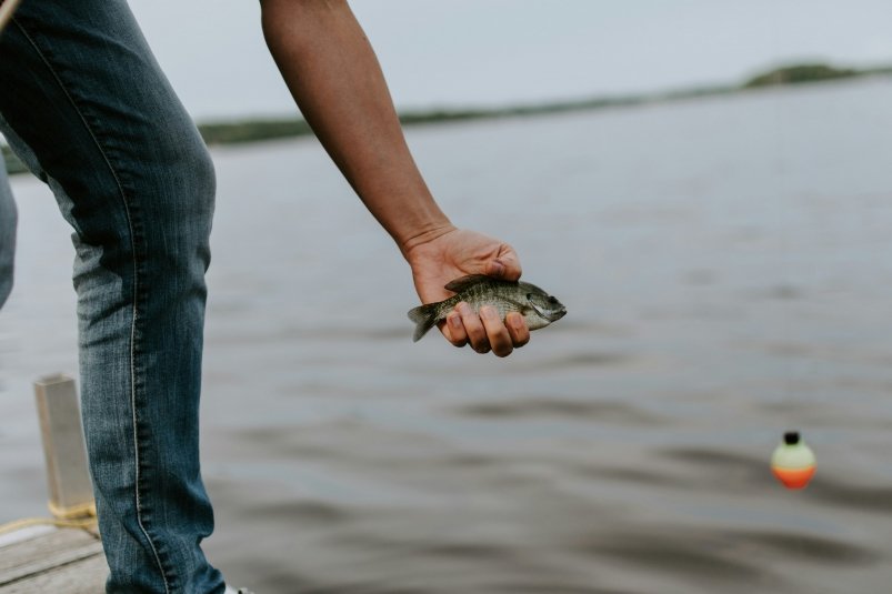 Рыбалка unsplash.com