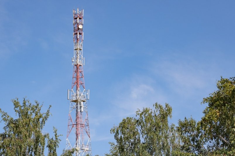 Тематическая иллюстрация Пресс-служба компании МегаФон