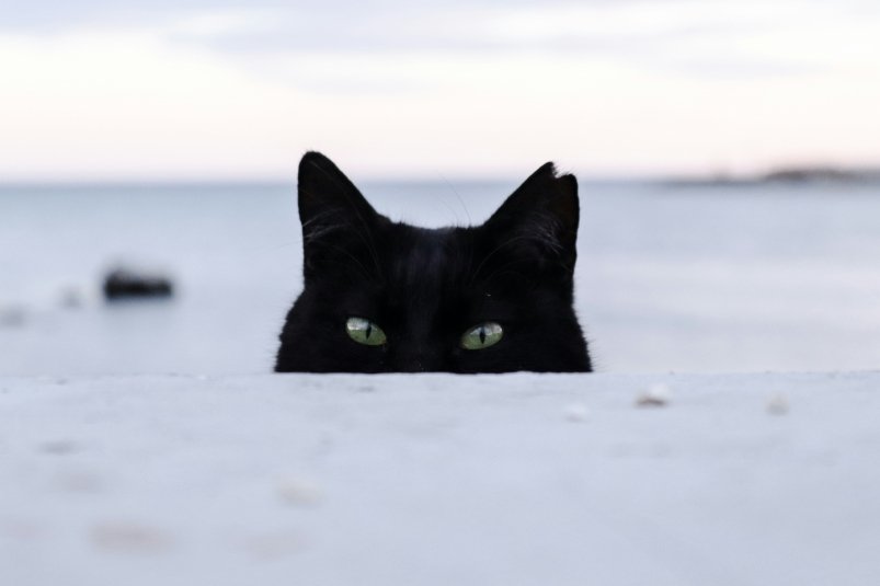 Тематическое фото unsplash.com