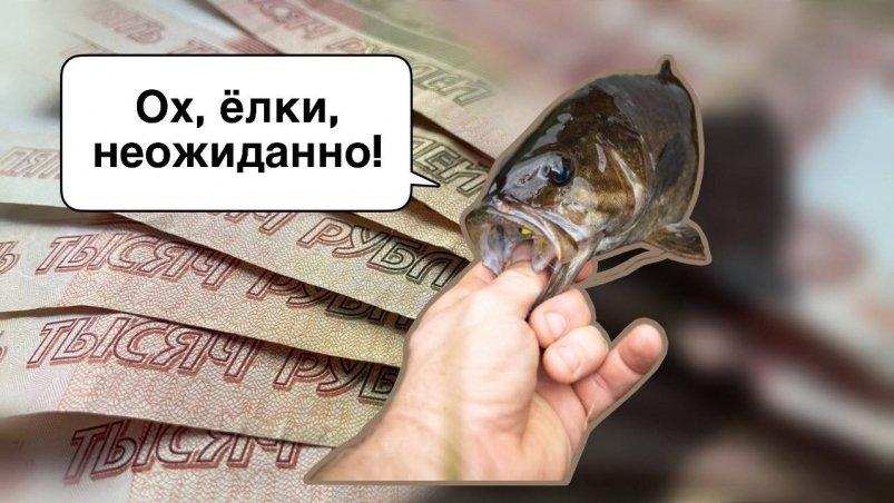 Рыба, деньги Коллаж ИА StolicaMedia и unsplash.com