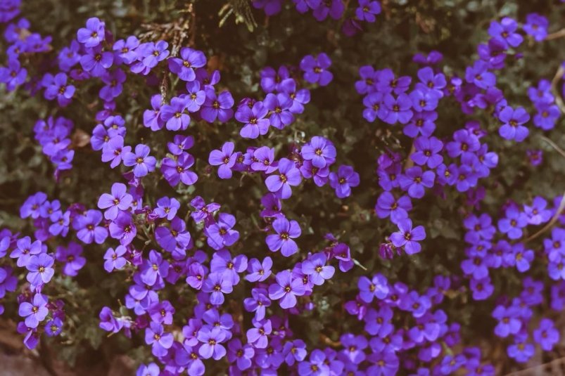 Тематическое фото Unsplash.com