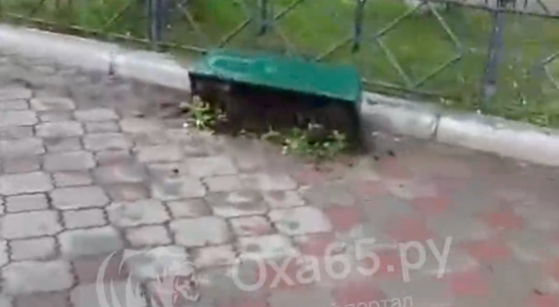 В Охе вандалы повредили почти все вазоны на улице Ленина Оха65.ру