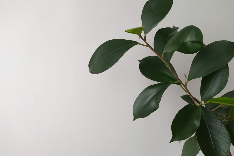 Тематическое фото unsplash.com (18+)