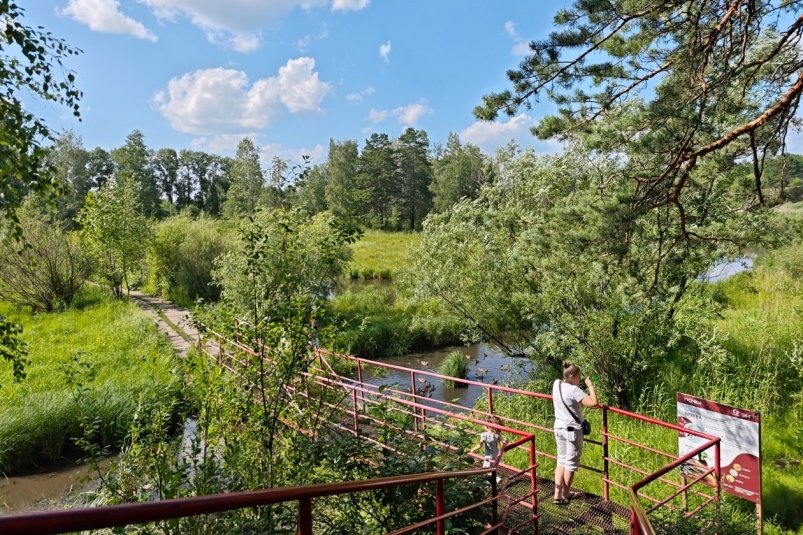 Землю с экотропой в парке 10-летия Ангарска власти города хотят передать муниципалитету Анастасия Вострецова, корр. ИА AngarskMedia