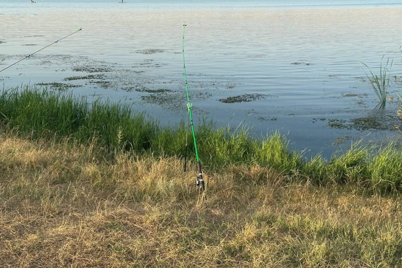 Сворачивайте удочки: с 1 сентября на любом водоеме запрещено рыбачить без 1 документа ИА KrasnodarMedia