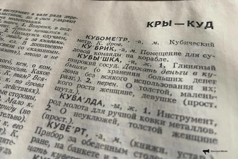 Раздельно и только так: названы слова, в которых ошибаются даже заслуженные профессора ИА Stavropol.Media