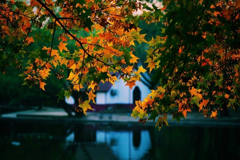 Тематическое фото unsplash.com