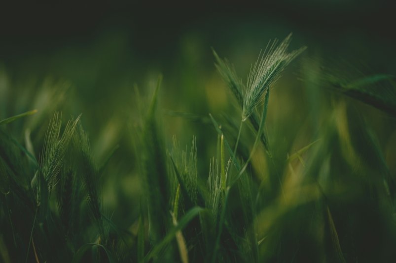 Тематическое фото unsplash.com