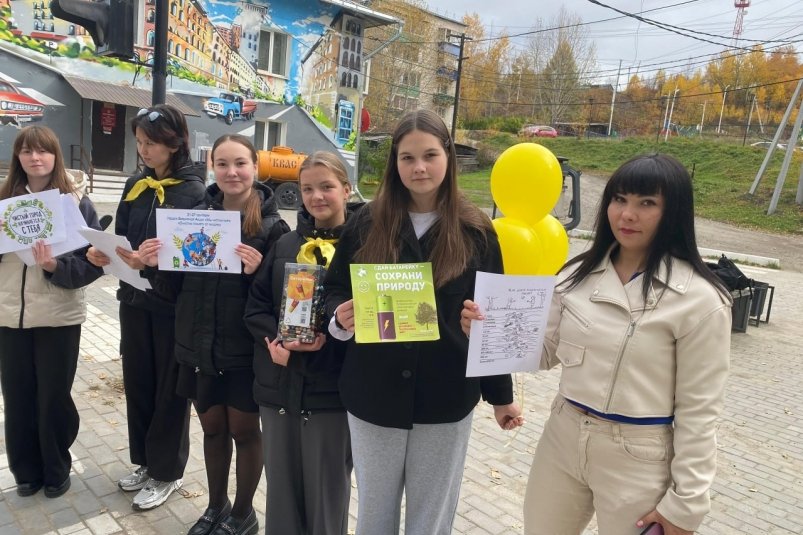 Боксы для батареек амурчане покупают на свои деньги администрация Сковородинского округа