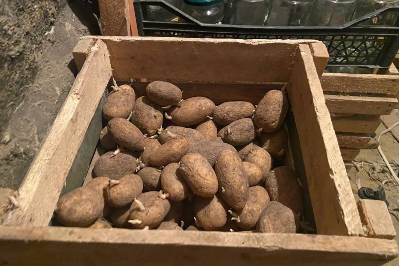 Капсула времени для урожая: заверните овощи в эту бумагу - хранятся свежими до весны ИА Stavropol.Media