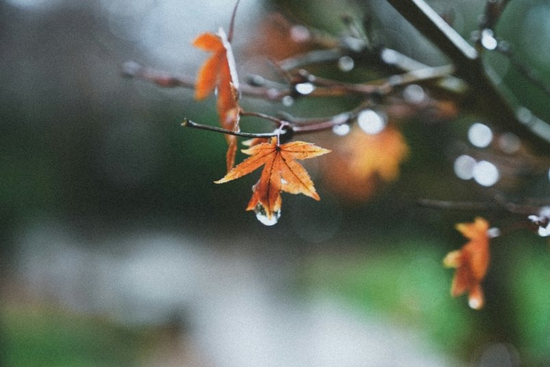 Тематическое фото unsplash.com