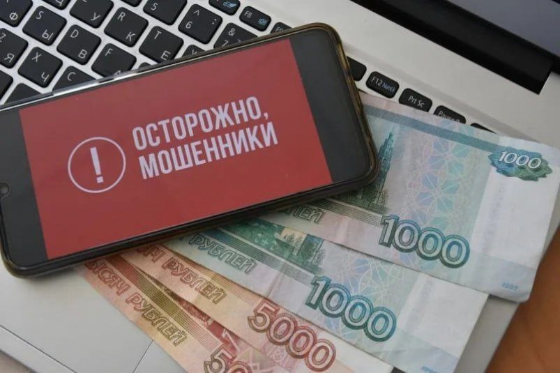 Новая схема мошенничества Полиция Камчатского края
