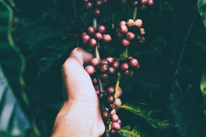 Тематическое фото Unsplash.com