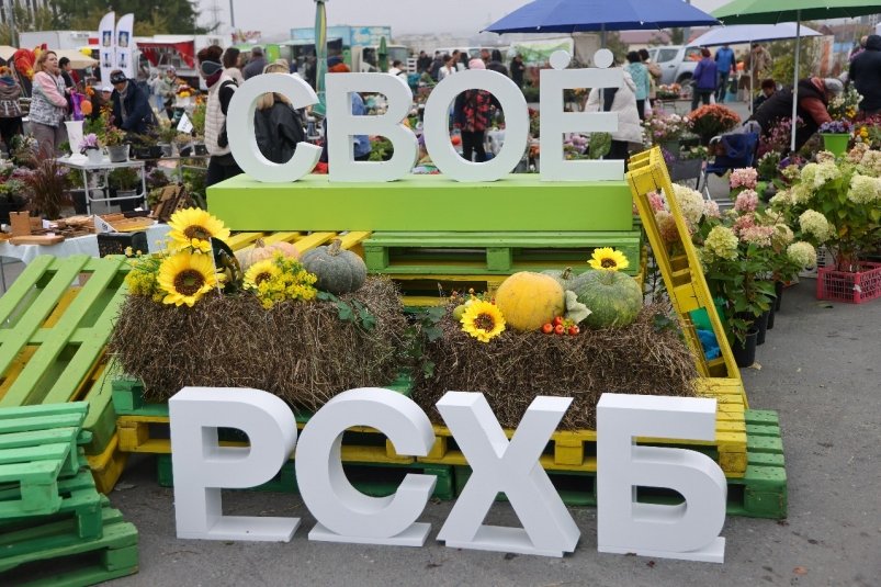 Агрофестиваль "Своё Родное Островное-2025" пресс-служба правительства Сахалинской области