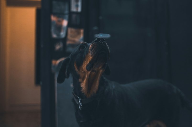 Тематическое фото unsplash.com