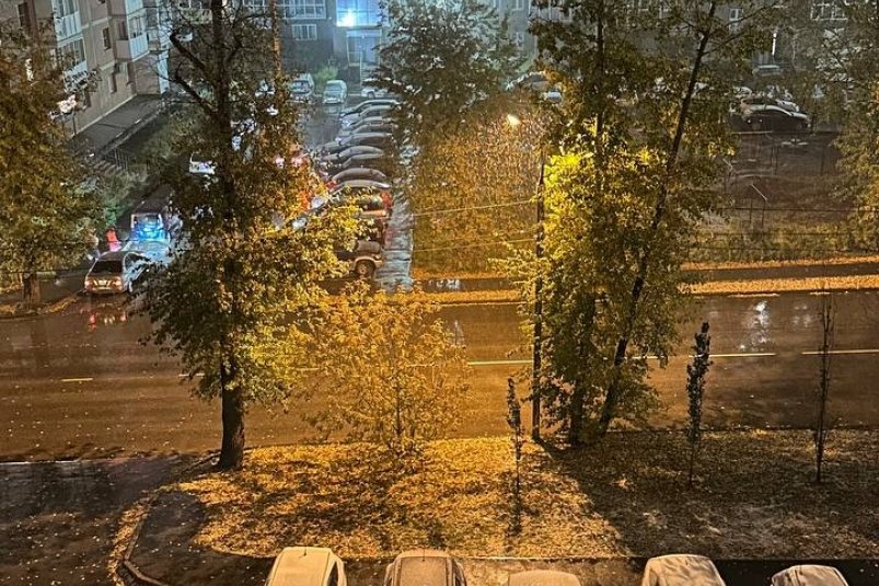 2723 дома обесточены в Правобережном округе Иркутска из-за мокрого снега ИА IrkutskMedia