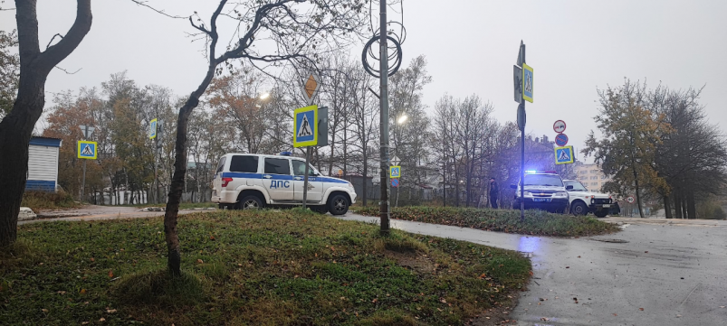 В Охе пешеход погиб под колесами авто. Водитель за 2 года нарушил ПДД 18 раз tvokha.ru (16+)