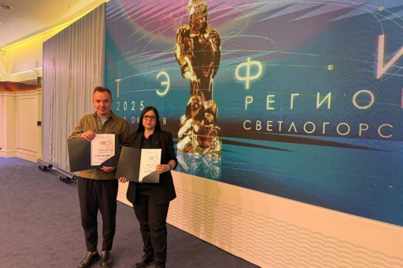 Проекты из Ставропольского края прошли в финал "ТЭФИ-Регион" телеканал "Своё ТВ"