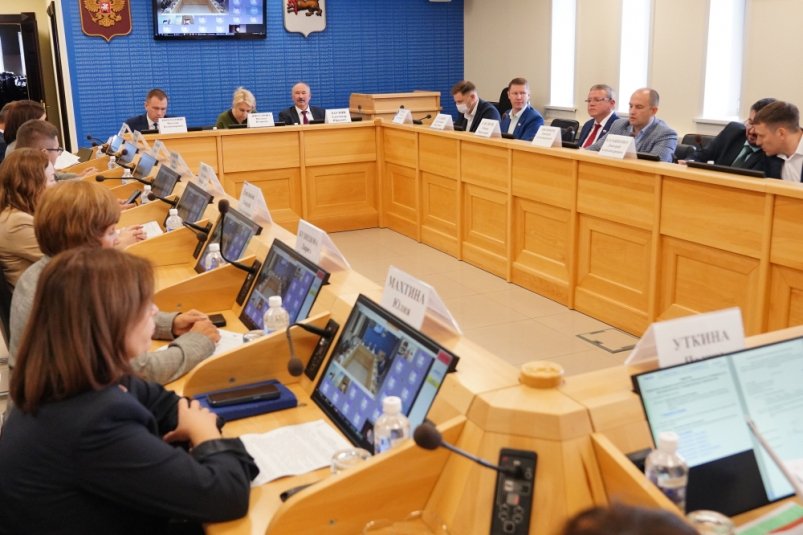 Итоги исполнения областного бюджета за 2024 год рассмотрели в Заксобрании Приангарья Мария Иванова