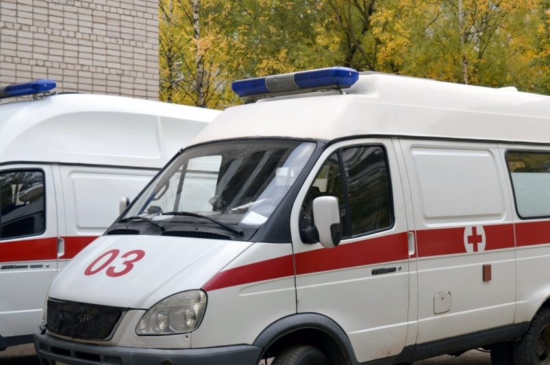 Тематическое фото Pxhere.com