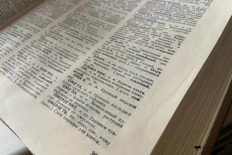 У вас до идеала отточенное сознание, если 2 головоломки для вас легкотня ИА "Новости Ростов"