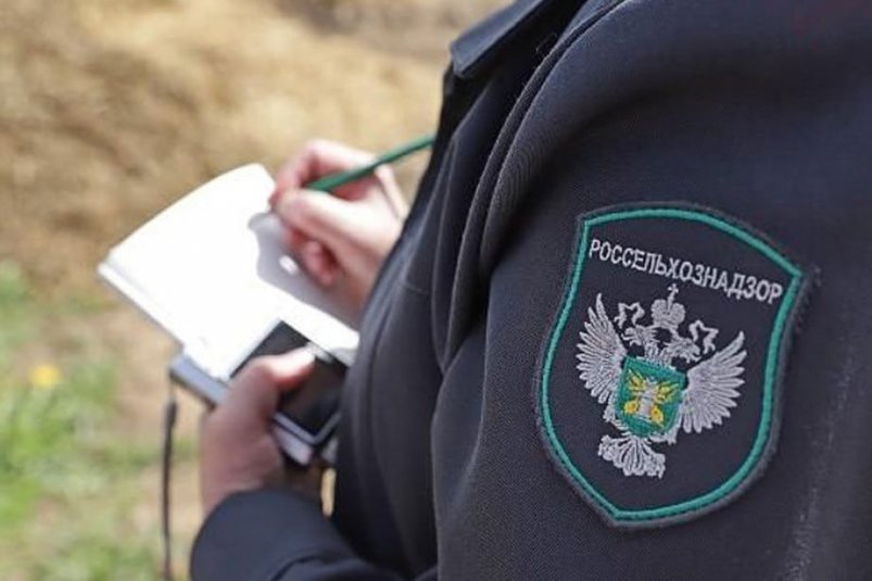 Тематическое фото Соцсети АЧ МУ Россельхознадзора