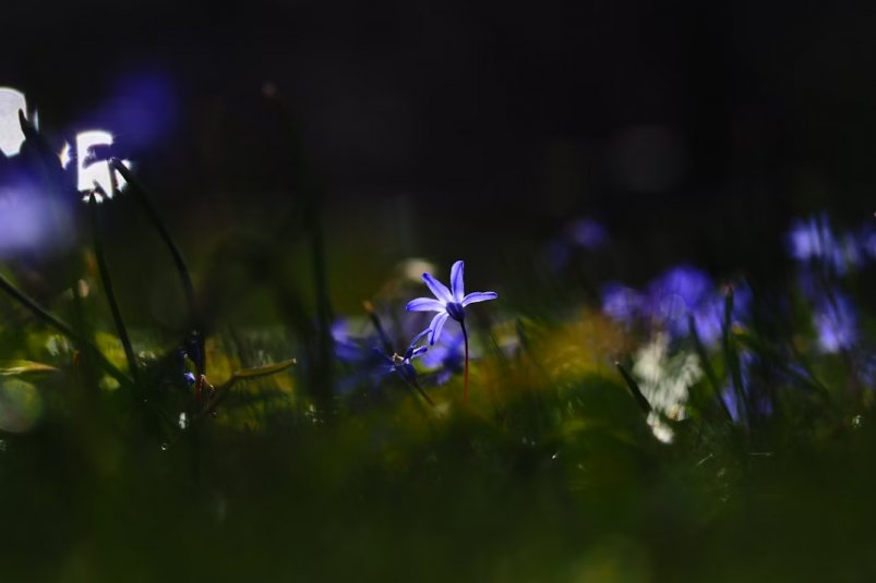 Тематическое фото unsplash.com