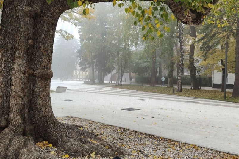 Дожди и осенняя прохлада ожидают жителей Ставрополья на выходных ИА Stavropol.Media