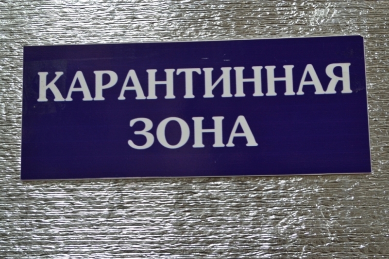 Мигрантов надо помещать в карантинную зону на границе ИА PrimaMedia