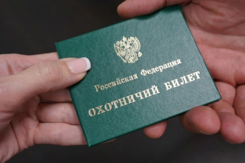 Специалисты камчатского госохотреестра начали принимать экзамен на знание охотничьего минимума Официальный сайт Камчатского края