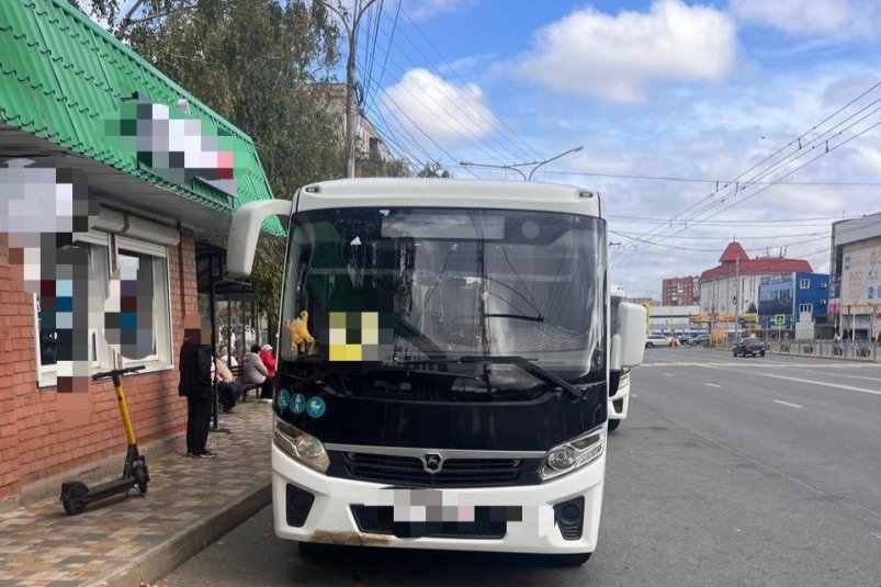 Пенсионерка получила травму головы во время поездки в автобусе в Ставрополе Госавтоинспекция Ставрополья