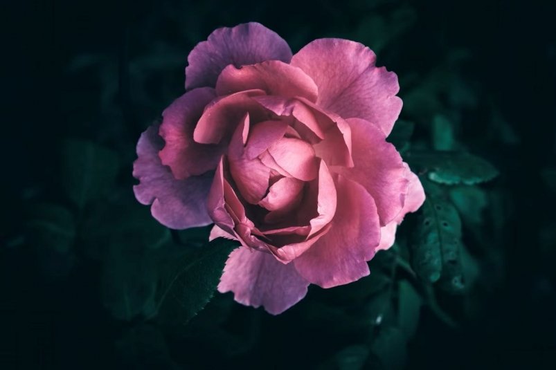 Тематическое фото Unsplash.com
