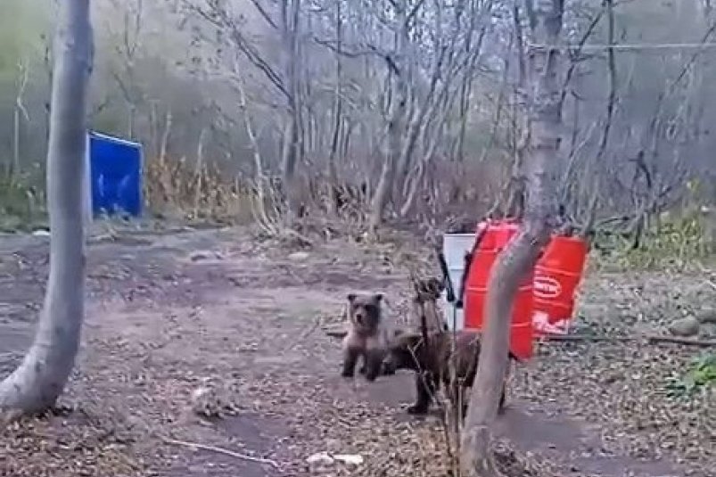 Фото с места событий Правительство Камчатского края