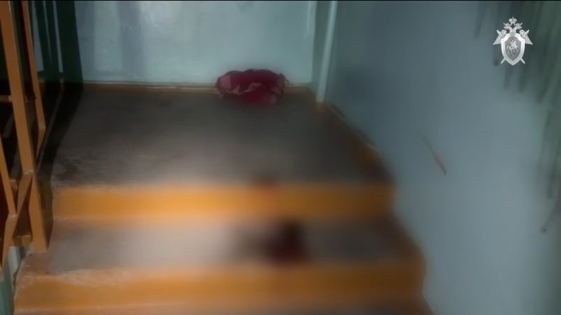 В Шелехове возбуждено уголовное дело после убийства 14-летней девочки и женщины Пресс-служба СУ СКР по Иркутской области