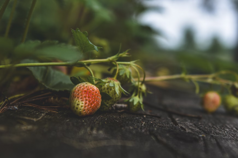 Тематическое фото unsplash.com