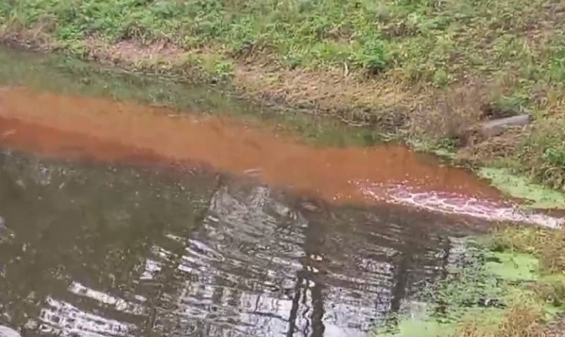 Скриншот из видео ТГ-Шестаков Директ