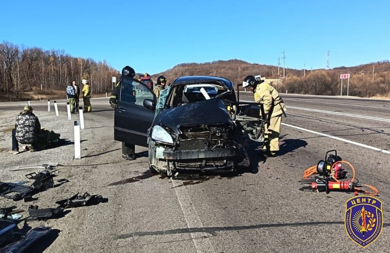 Легковой автомобиль и большегруз столкнулись у поворота на поселок Новобурейский Амурский центр ГЗ и ПБ