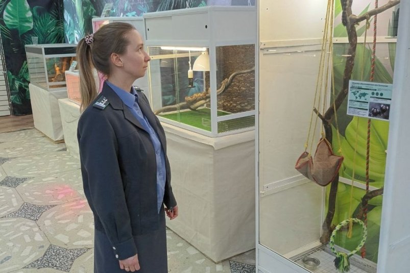 . пресс-служба управления Россельхознадзора по Красноярскому краю