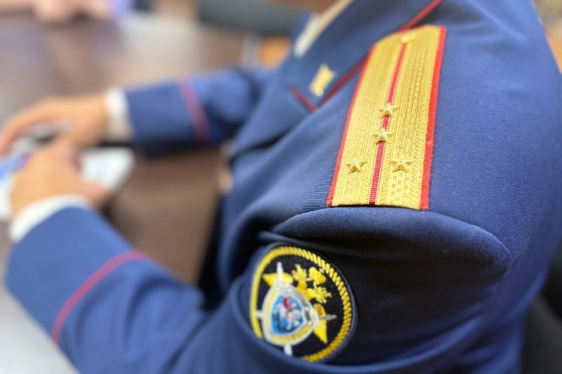 Заявления на гражданство России для ребенка разрешили подавать онлайн Пресс-служба СУ СК России по Камчатскому краю