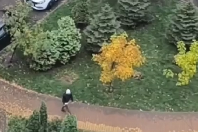 Скриншот видео ТГ-канал "Нетипичный Ставрополь" (18+)