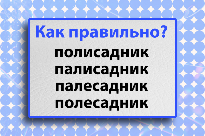 Тематическое фото Авторское