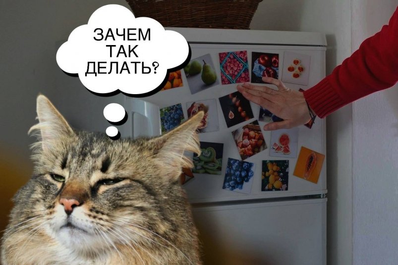 Только не в холодильнике: как хранить жидкий корм для котов - ошибки делают 9 из 10 Kristyna Squared.one/unsplash и (Augustin-Foto) Jonas Augustin/unsplash