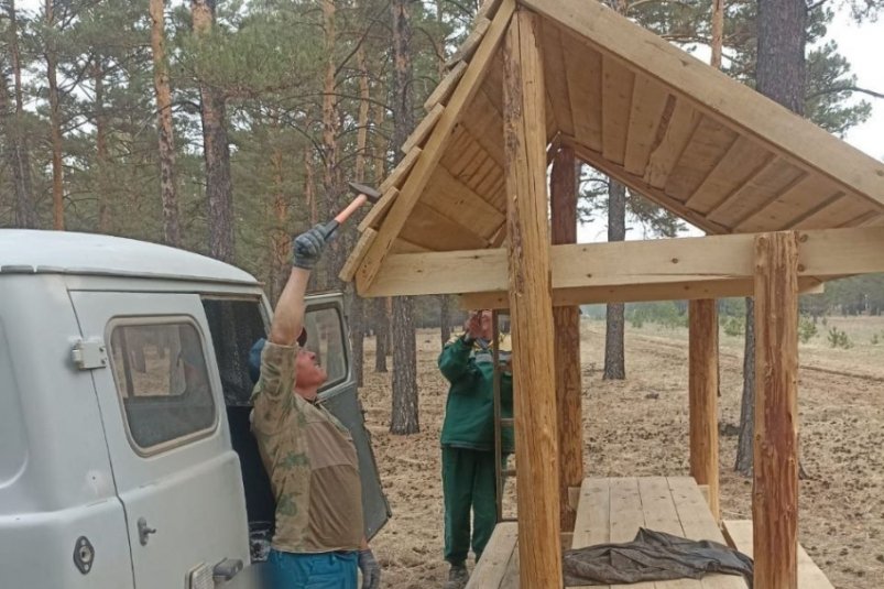 Минерализованные полосы Николая Перевозчикова
