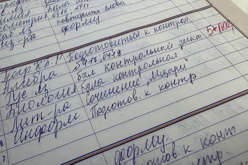 Вас засыпали 5+ по русскому языку, если верно напишете 5/5 слов ИА Stavropol.Media